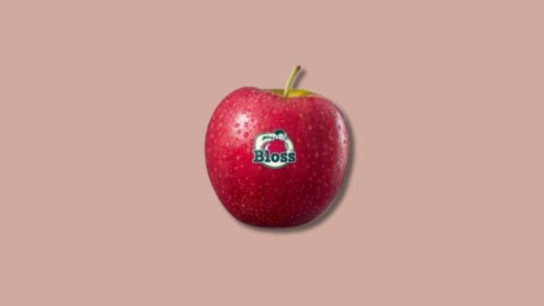 Productafbeelding Blos appel