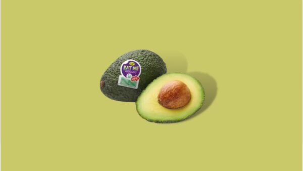Avocado EAT ME