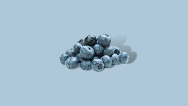 Blauwe bessen