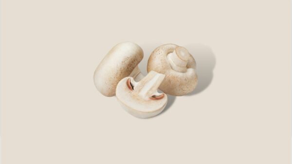 Champignons