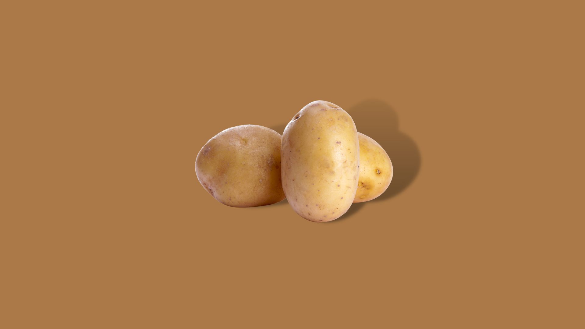Frieslander