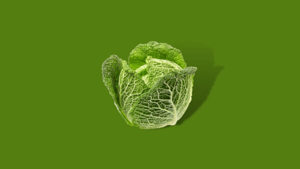 Groene kool