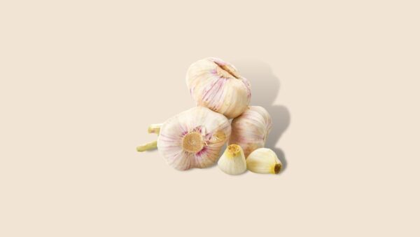 Knoflook Vers