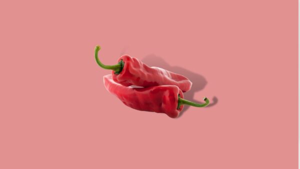 Puntpaprika