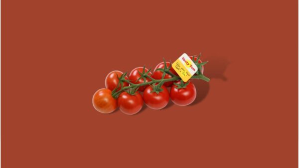 Tasty tom tomaten