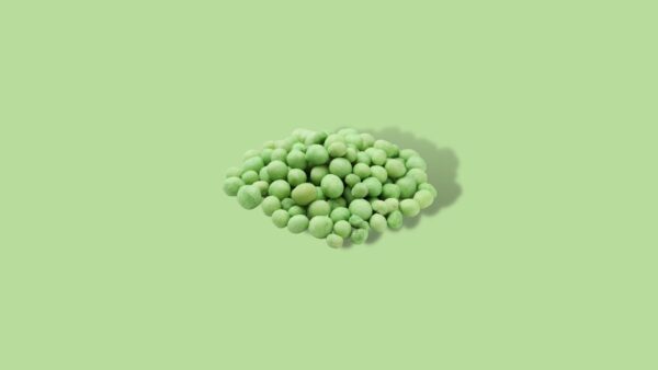 Wasabi